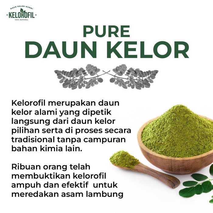 

(GMV J) Kelorofil Teh Bubuk daun kelor alami Beli 1 gratis 1 Herbal Instan