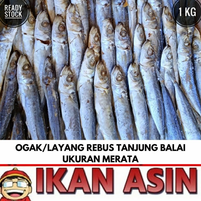 

Ikan Asin LAYANG / OGAK / CUE REBUS 1 kg