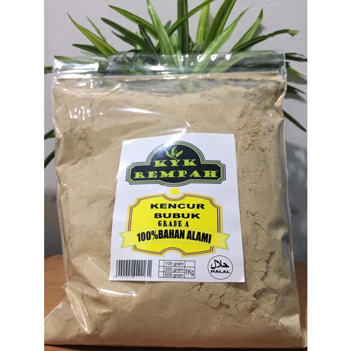 

Lezat- Kencur Bubuk Murni Produksi Sendiri [500 gram]