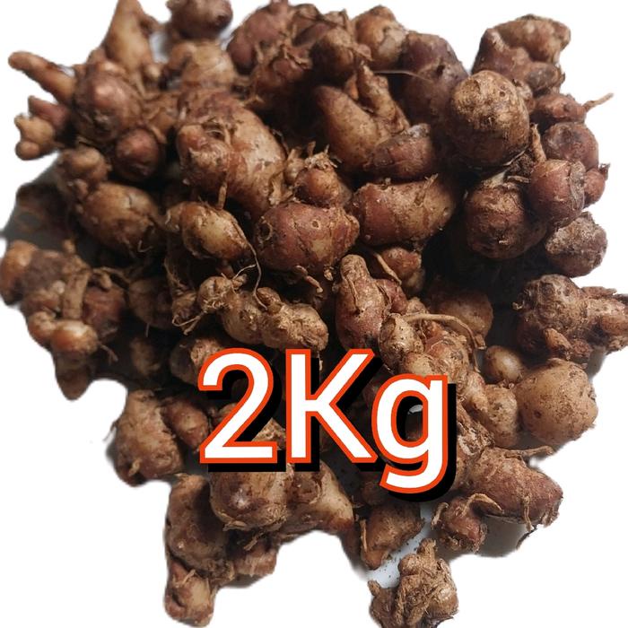 

Lezat- Cikur 2Kg Bahan Rempah Bumbu Masakan Seblak DLL, Organik Alami Penyedap Spices
