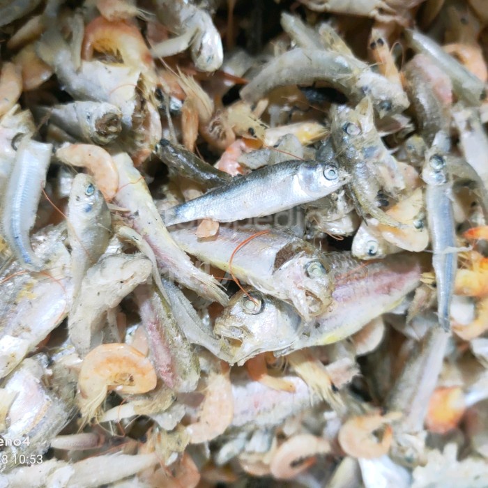 

Ikan Campur Asli Medan / Ikan sampah Campur 250gr
