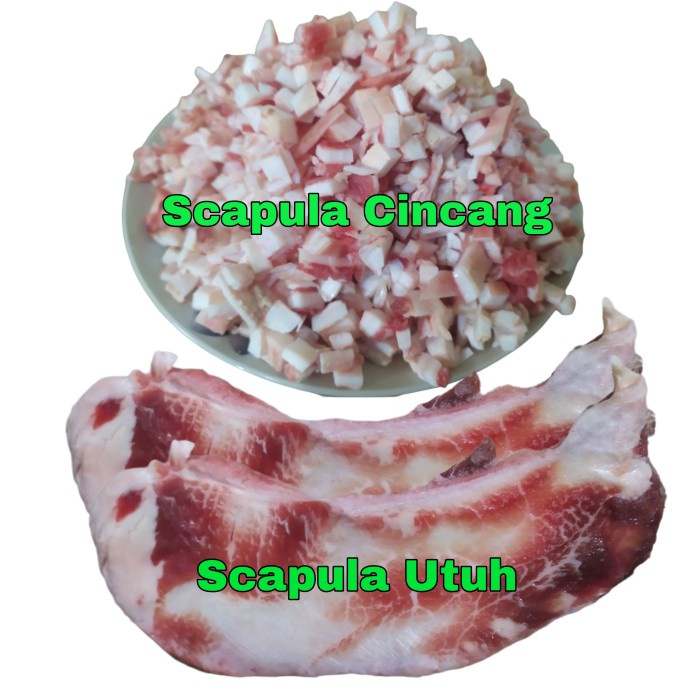 

Lezat- Scapula Tulang Sapi / Scapular Bahan Bakso / Tulang Rangu 500gr
