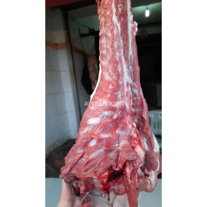 

Lezat- Daging Lamusir Kambing Daging Domba Khas 500gr atau 1kg Meat