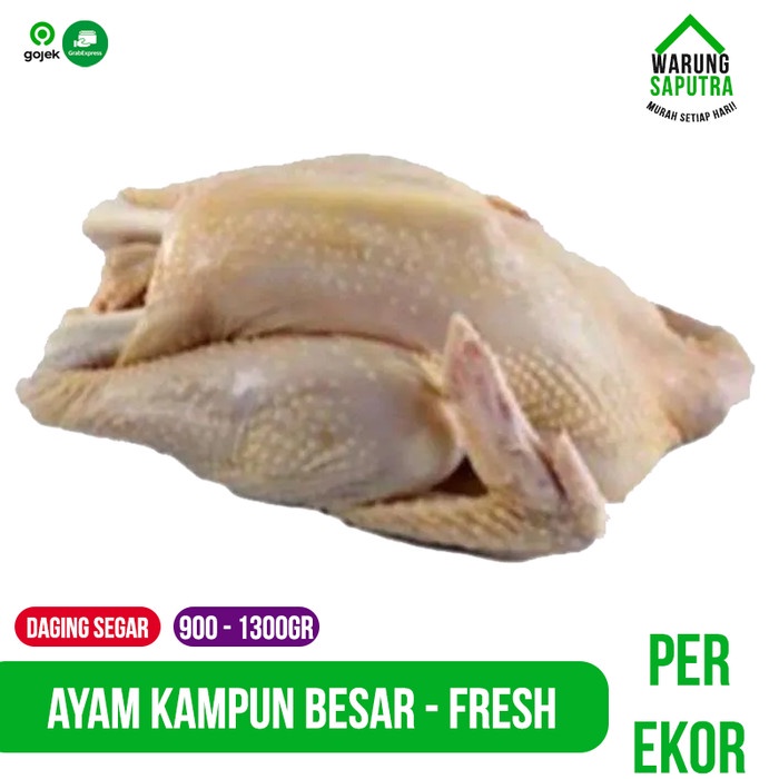 

Lezat- Ayam Kampung Besar Utuh per Ekor