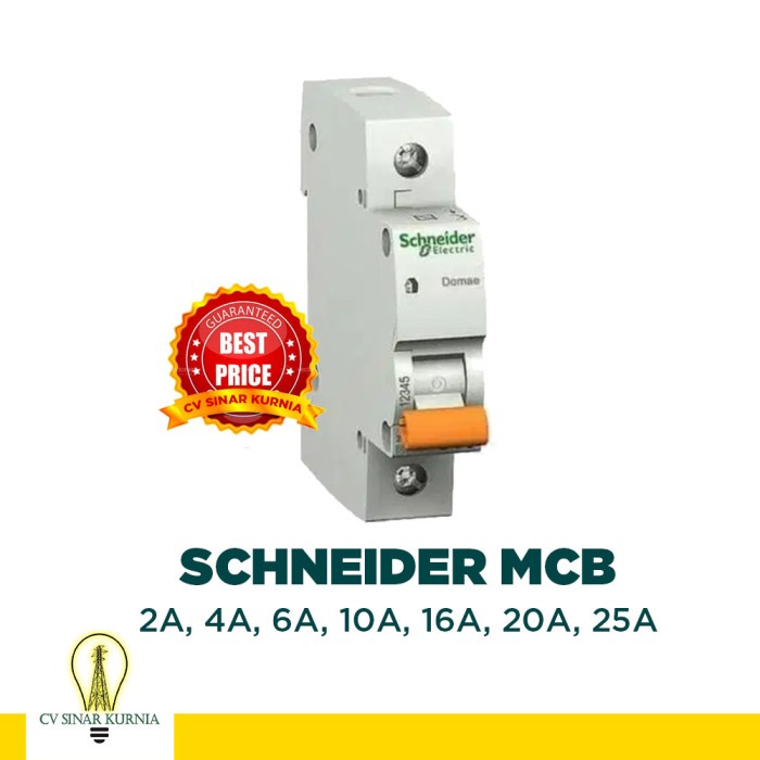 MCB SCHNEIDER ORI 1 Phase 2A, 4A, 6A, 10A, 16A, 20A, 25A MCB 6000 A
