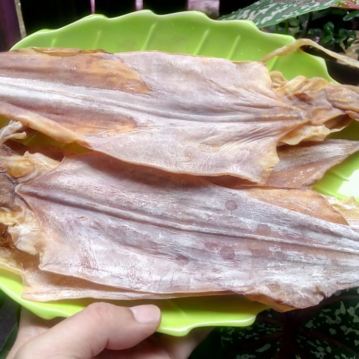 

juhi/sotong pangkong kalimantan super