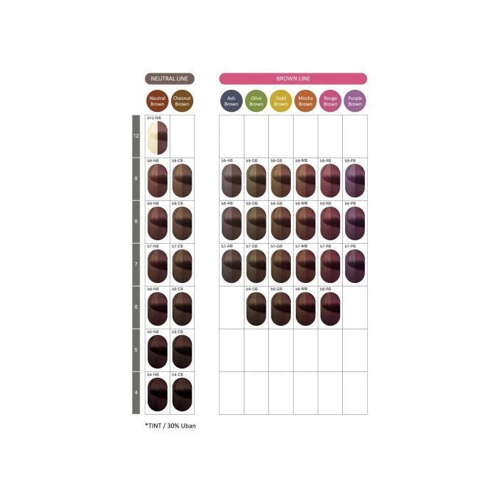 Milbon Ordeve Beaute Hair Color Terlaris