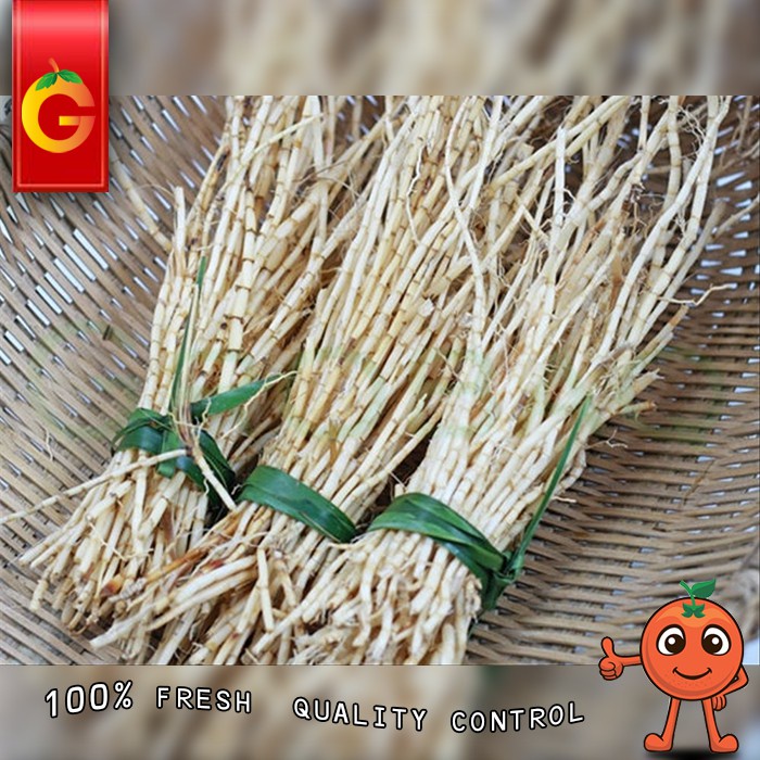 

FRESH AKAR ALANG-ALANG FRESH / IKAT