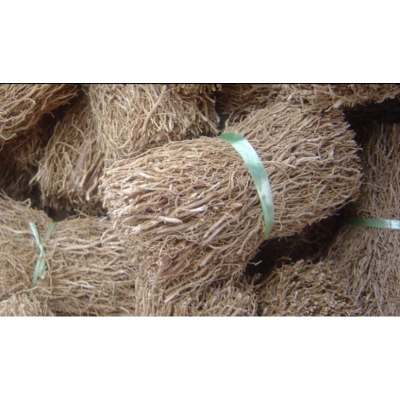 

FRESH Akar wangi 100 gram kering