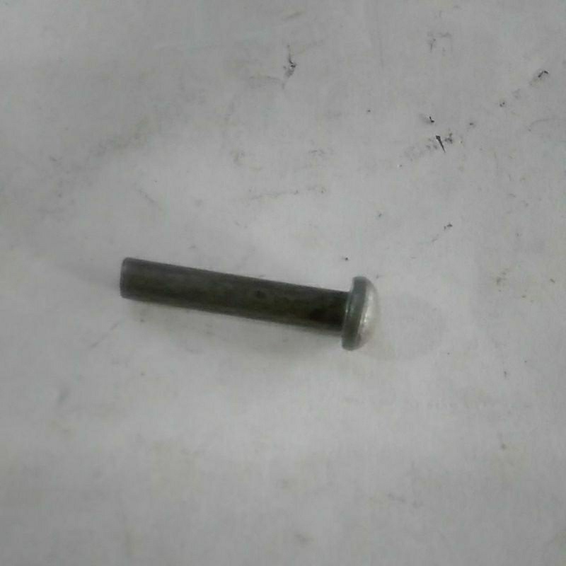 PAKU KELING / PAKU PISAU (HARGA /10PCS)