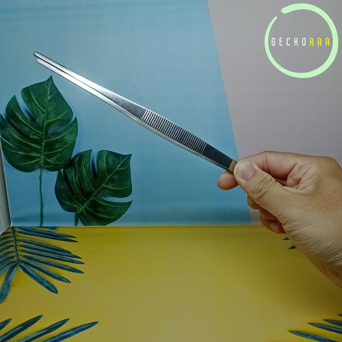 Sudimampir Pinset 25 Cm Kecoa Dubia Jangkrik Ulat Hongkong Jerman Makanan Pakan Reptil Gecko