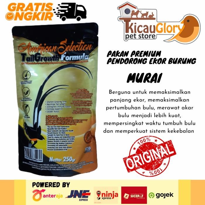 Ams Tail Growth American Selection Formula Pur Murai Dorong Ekor