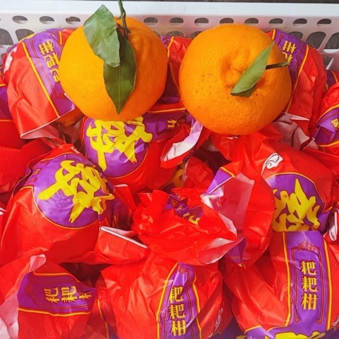 

BisaInstan- LOLA Jeruk Kupas Dekopon Papagan Chun Jian IMPORT 1 kg