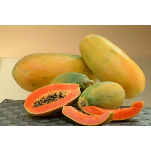 

BisaInstan- Pepaya Bangkok 1 pcs