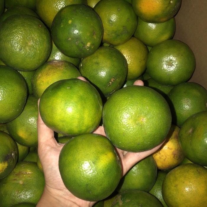 

BisaInstan- JERUK PERAS. JERUK FRESH SEGAR. JERUK KUPAS JERUK ENAK. MURAH.