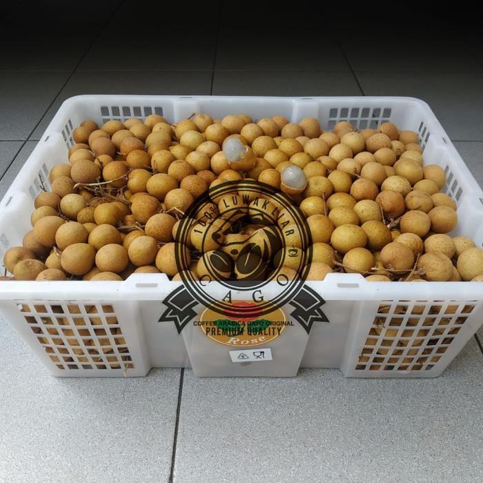 

BisaInstan- Lengkeng Emas Bangkok Jumbo 1 Keranjang (10 KG) Fresh Import