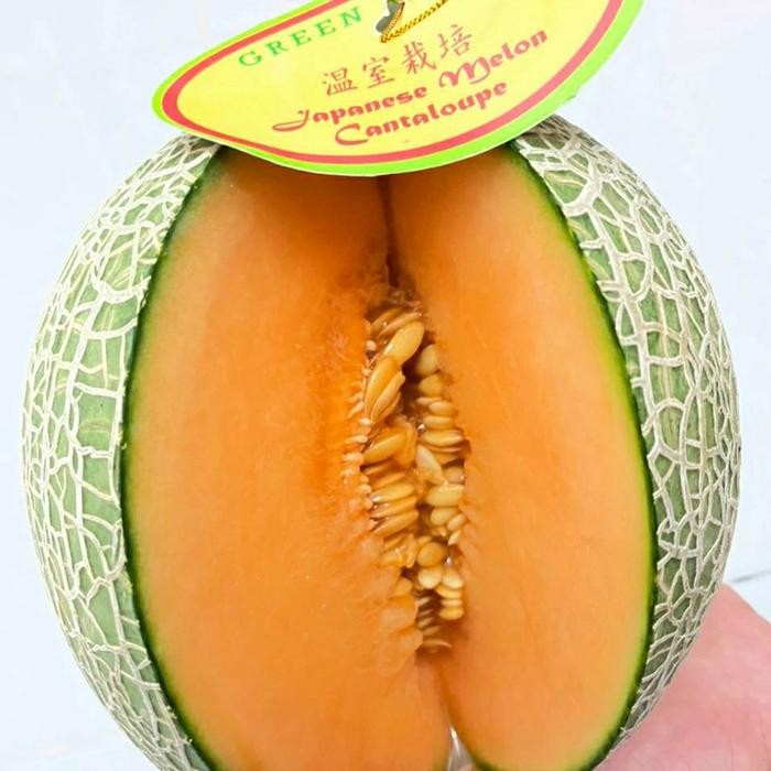 

BisaInstan- Buah melon cantalope Jepang ukuran 1 kg