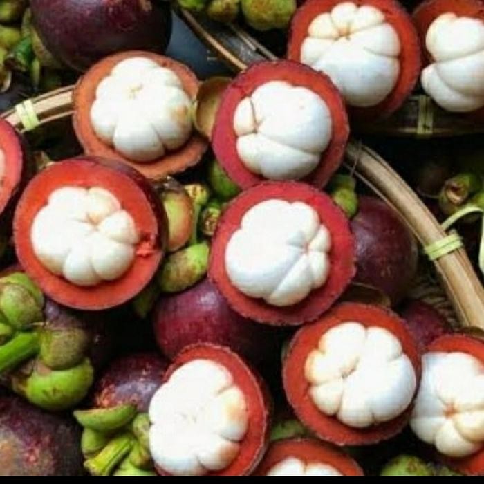 BisaInstan- buah manggis /1kg