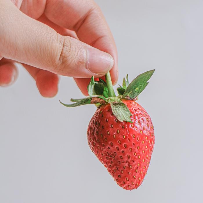 

BisaInstan- Stroberi Lokal Segar Ciwidey Strawberry Fresh Kualitas Tinggi