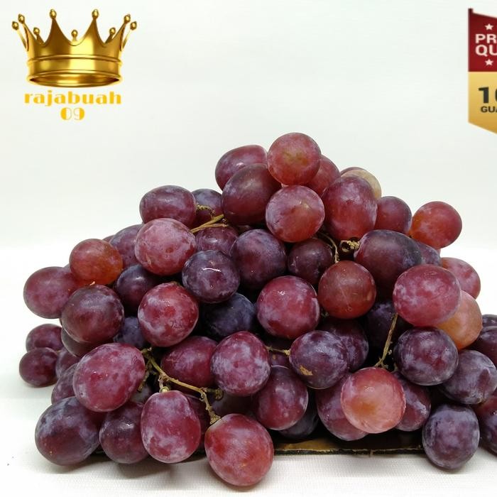 

BisaInstan- ANGGUR MERAH IMPORT MURAH