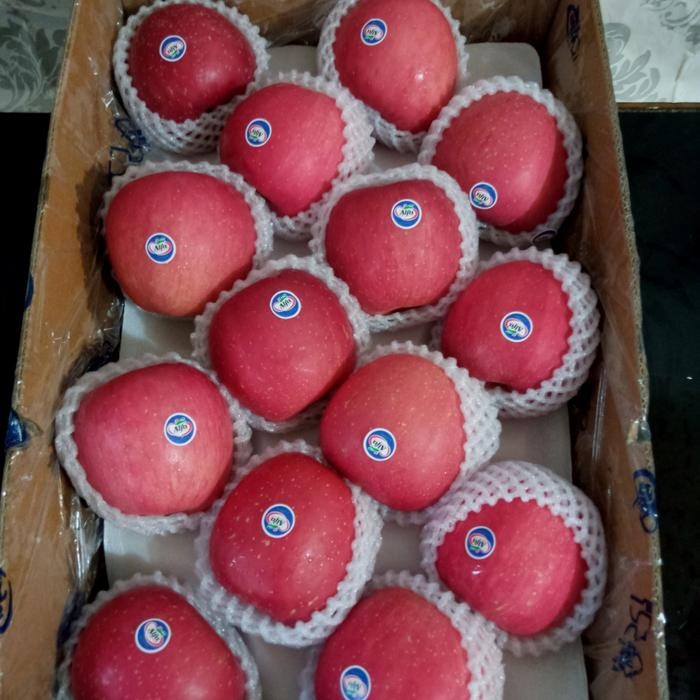 

BisaInstan- apel fuji alfa jumbo premium