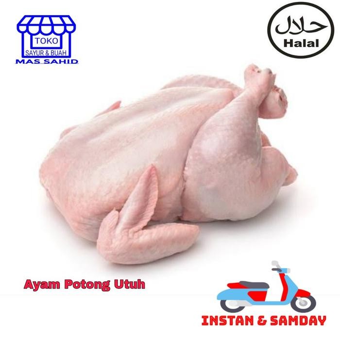 

Kirim,HariYgSama- Ayam potong 1 ekor utuh