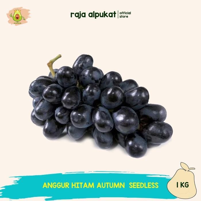 

BisaInstan- Anggur Hitam Autum Sedlees (Tampa Biji)