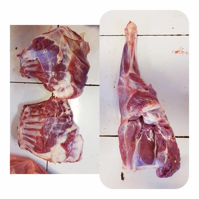 

Kirim,HariYgSama- paket iga dan paha depan kambing 2000gram