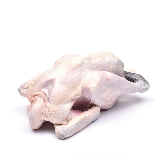 

Kirim,HariYgSama- Ayam Kampung FRESH ~1,2Kg [GROSIR]