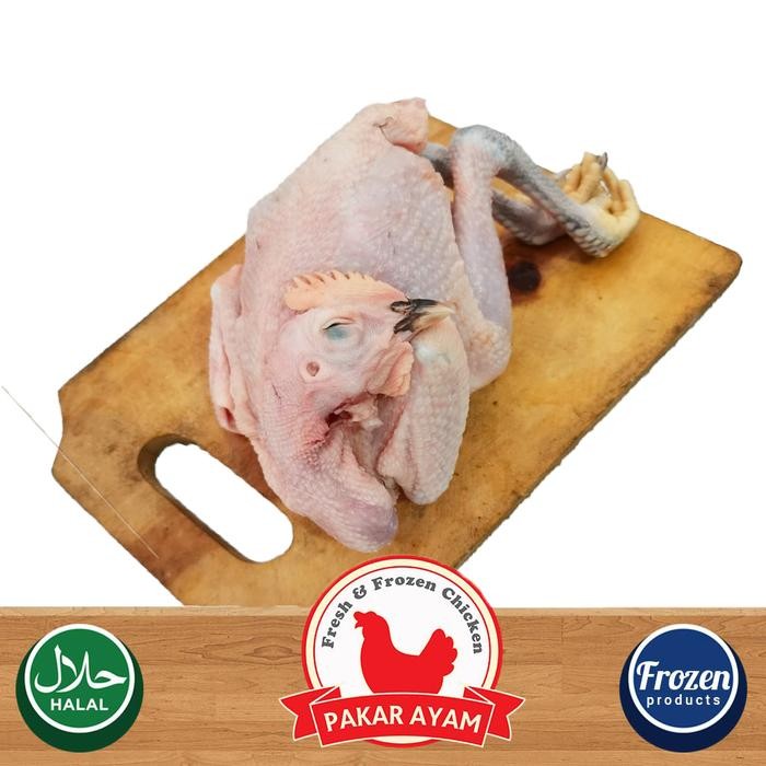 

Kirim,HariYgSama- AYAM KAMPUNG KARKAS SIZE 0.7-0.8 GRAM