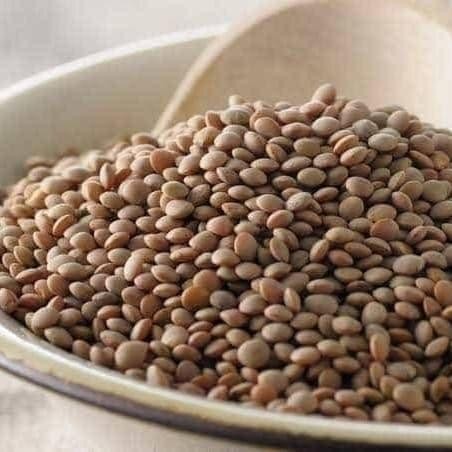 

Open DS] Brown Lentil 100gram / Lentil Cokelat / Lentil Coklat