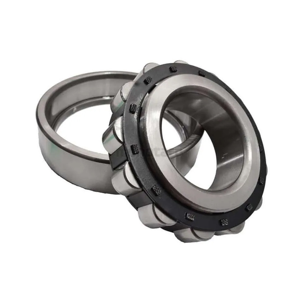 CYLINDRICAL BEARING NF 310 NTN Original