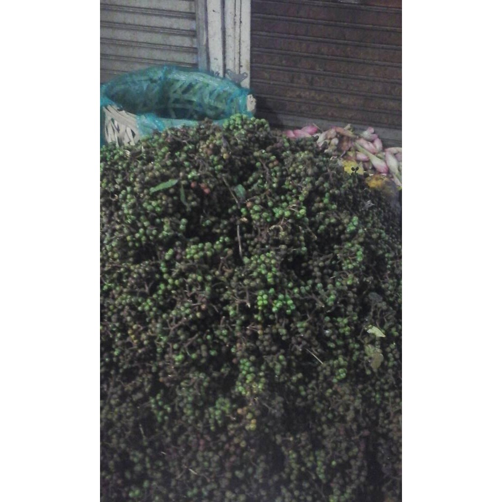 

NewZbgt- Andaliman kemasan 0.5 kg