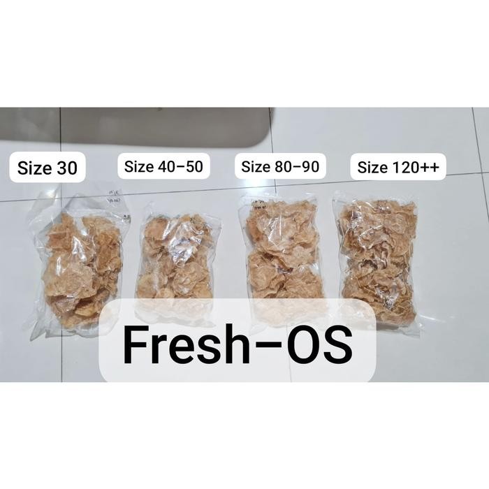 

NewZbgt- perut lambung ikan kering yiphiau yi phiau hepio hupio hipio hu pio