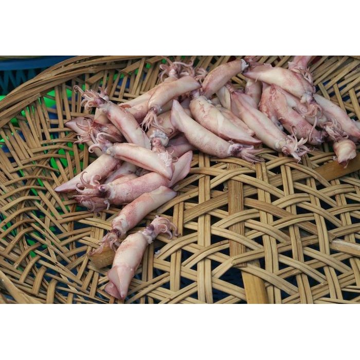 

NewZbgt- Cumi Asin Berkualitas - 500 Gram