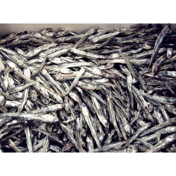 

NewZbgt- Ikan Teri Jengki Berkualitas - 250 Gram