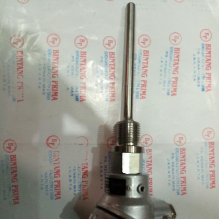 Promo Head 1/2" Npt Thermocouple Tipe Rtd Pt100 Uk. 8 X 100Mm / Terminal Kse