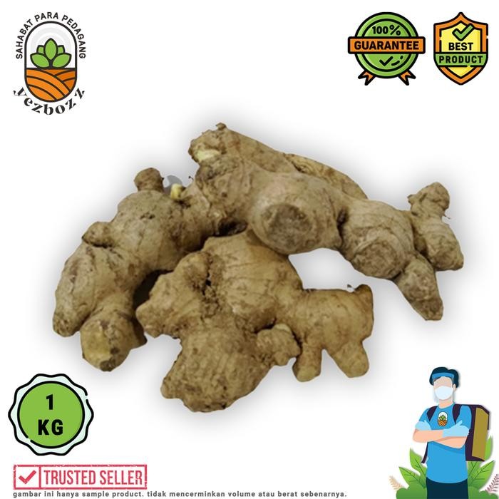 

CARAKA.STORE1 JAHE PUTIH PER 1000 GRAM (1 KG)