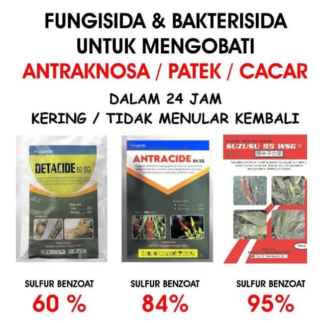 mI1 ANTRACIDE 84 SG 250 gram Fungisida Antraknosa / Patek / Cacar /