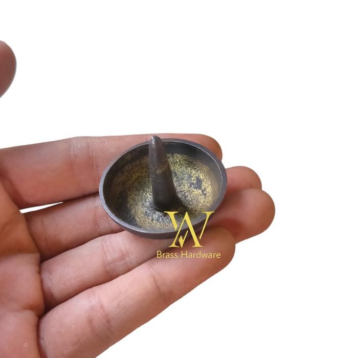 paku pines kuningan 5 cm