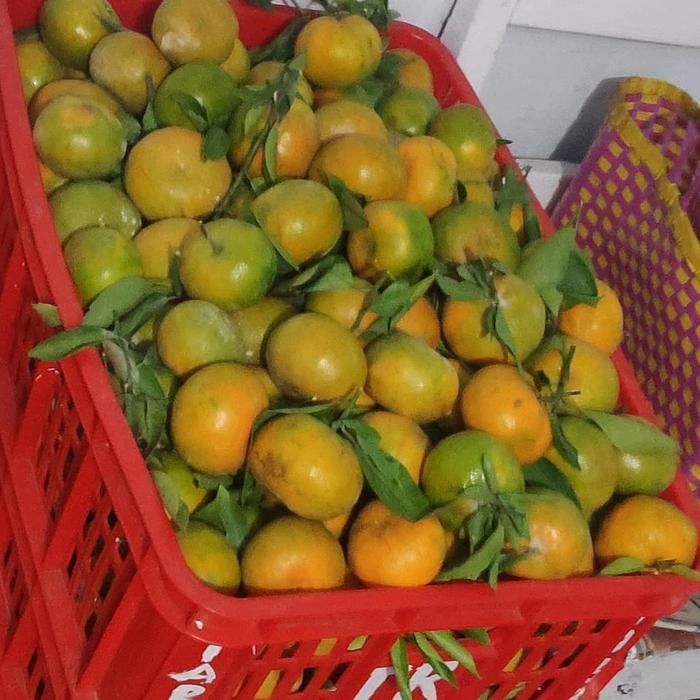 

New Jeruk manis siem madu asli malang