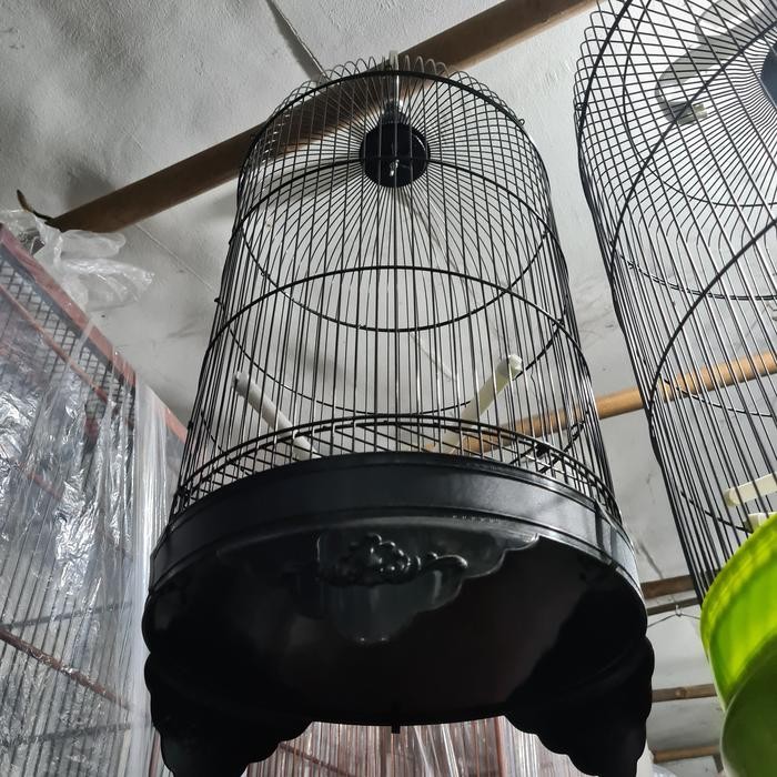 Sangkar lovebird boom terbaru