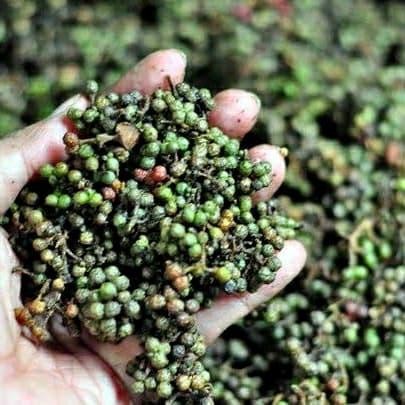 

InstanTanyadulu- Andaliman / Tuba / Merica Batak