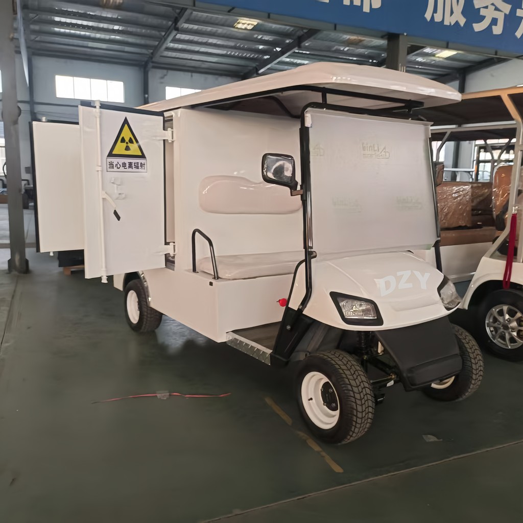 72V Golf Cart Motor 6 Seater Sightseeing Golf Carts Buggy Electric 4 Seat Golf Car
