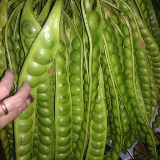 

petai Pete tak ada ulatnya *