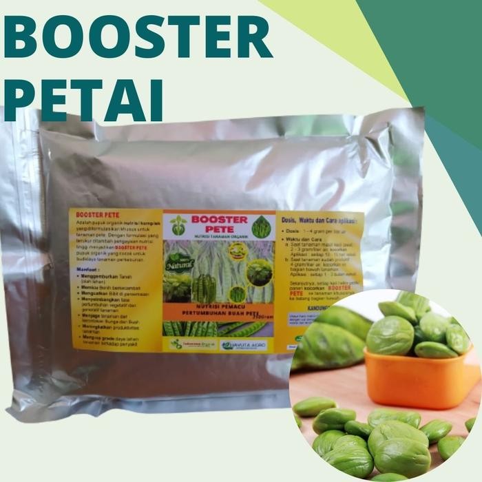 

Pupuk Petai Pete, Pupuk Booster Petai Cepat Beuah Pelebat Petai *