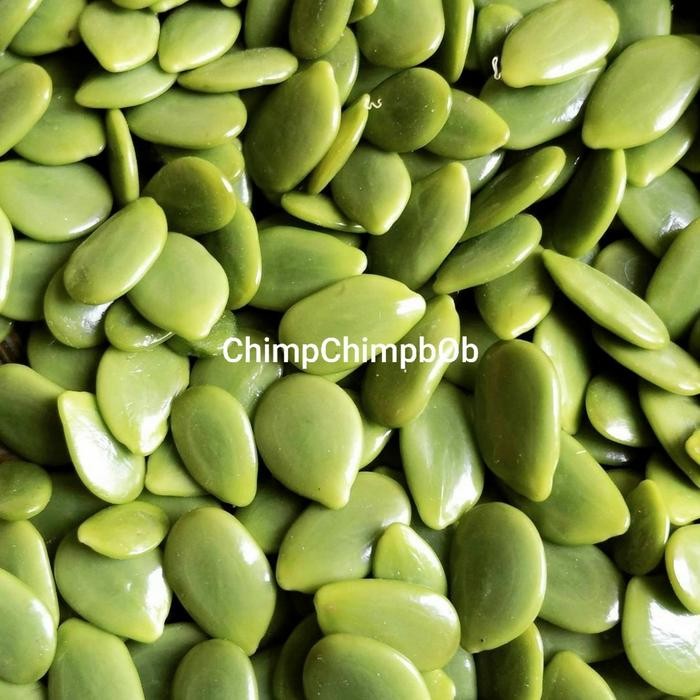 

LAMTORO PETAI CINA / PETE CINA SEGAR *