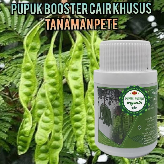 

pupuk organik pete booster cair khusus tanaman petai *
