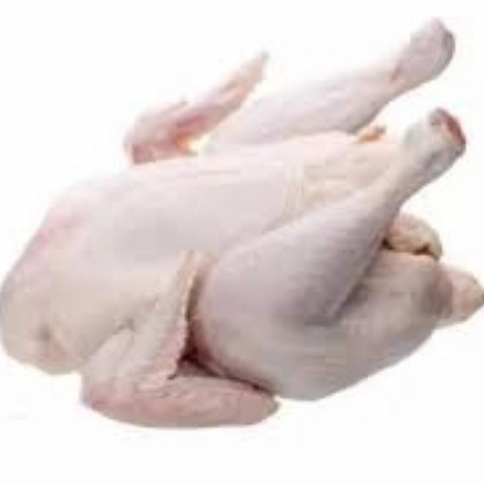 

TodayFre3sH- ayam potong segar 1 ekor