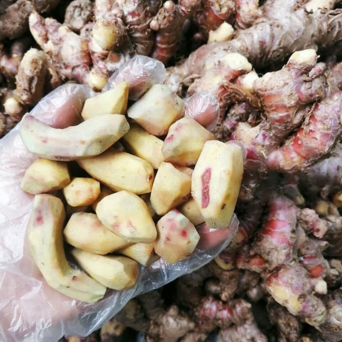 

TodayFre3sH- Baru! Jahe Merah Super kupas Sudah Bersih Siap Konsumsi 1 Kg